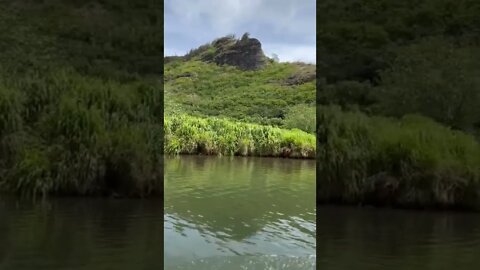 River boat tour at Wailua river park, Kapa'a, Kauai, Hawaii.