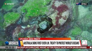 Australia signs first-ever U.N. treaty to protect world's oceans