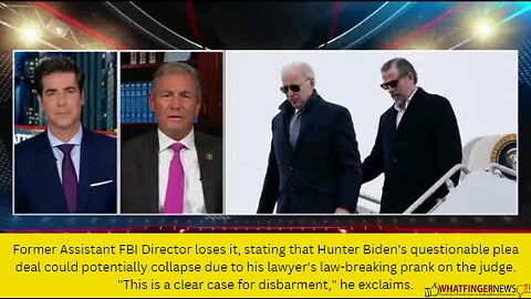 Former Assistant FBI Director loses it, stating that Hunter Biden's questionable plea deal