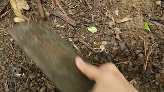 Tour na chácara depois da chuva com direito a escorregão no barro