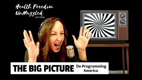 The Big Picture; Deprogramming America *ReMastered