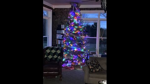 O Christmas Tree (December 2022)