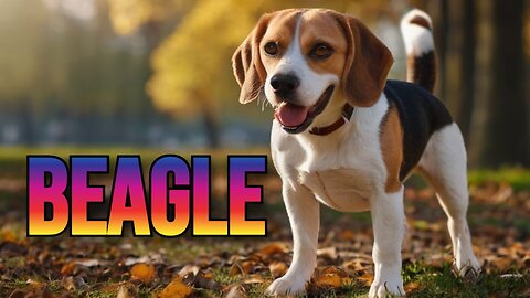 A Beagle's Tale: Unveiling the Charm and Curiosity of Man's Best Friend