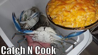 Fishing Florida Blue Crab | catch n cook
