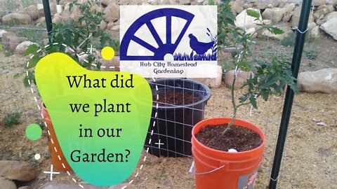 What did we plant in our garden?