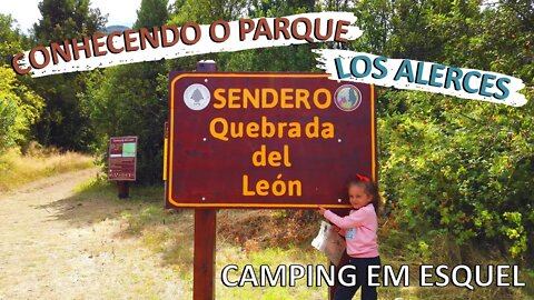Trilhas Fáceis para Crianças no Parque Nacional Los Alerces | Camping em Esquel