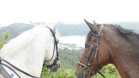 Travel video - Horseriding Sete Cidades - São Miguel - Azores