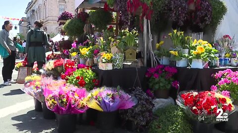 Flower Mart back in bloom in Baltimore's Mt. Vernon