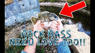 ROCK bass get a bad rap.... let's catch some!!!