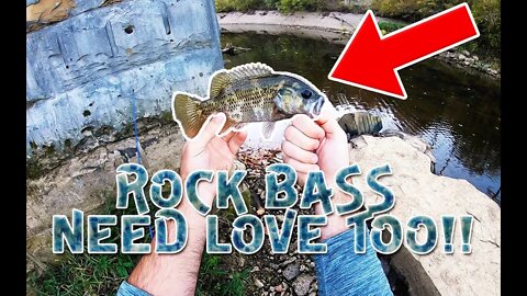 ROCK bass get a bad rap.... let's catch some!!!