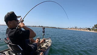 EEL Grass Bass | MB, CA