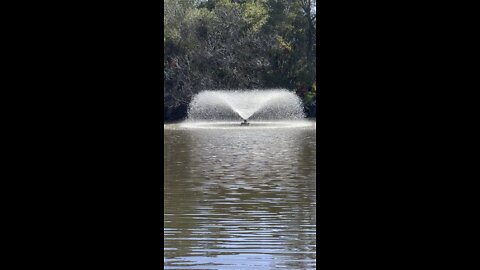 Hidden Lakes Park Fountain