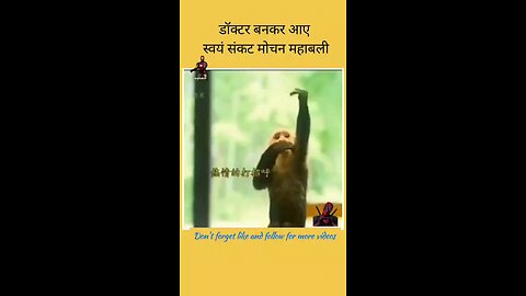 Indian movie clips explain in hindi