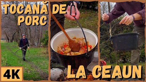 Tocană de Porc la Ceaun 🔥 | 4K | Gătim în Natură #7