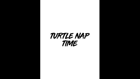 Turtle Nap Time