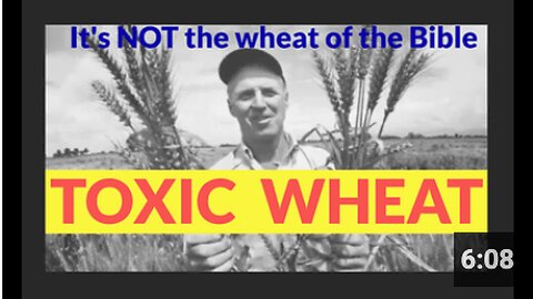 What did they do to WHEAT? TOXIC wheat? Opioids in your wheat? Schizophrenia link?