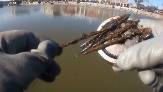 Magnet fishing Tonawanda side of canal 03 2021