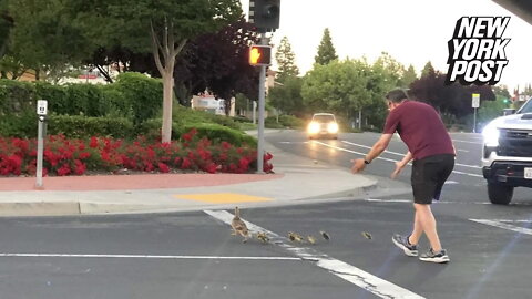 California man killed after helping ducks cross road — moments after being cheered by onlookers
