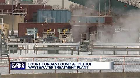 Fourth organ found at Detroit wastewater treatment plant was a deer heart