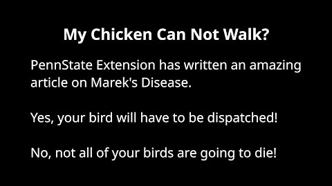 My Chicken Can Not Walk ( Marek's Disease )