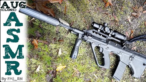 ASMR MSAR STG-556 XM17-E4 Steyr AUG Clone- Disassembly, Cleaning, & Reassembly (No Talking)