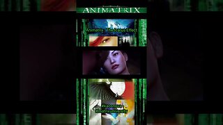 Animatrix : The Icarus Effect #kaosnova #matrixuniversity #matrix #animatrix