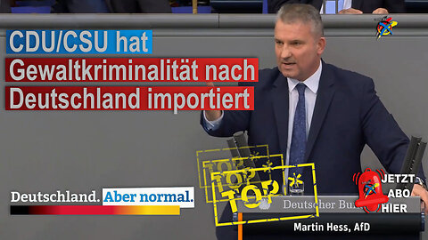 CDU/CSU hat Gewaltkriminalität nach Deutschland importiert Martin Hess, AfD