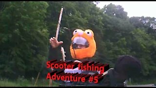 Scooter creek fishing adventure 5. Creek chub on Lititz Run. Easy fishing close to home