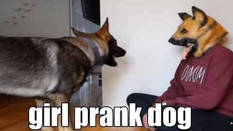 Troll Prank Dog Funny girl