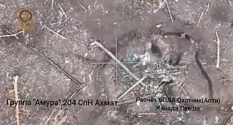 Footage of the work of the 204th "Amur" Group of the "Akhmat" Special Forces using a drone.