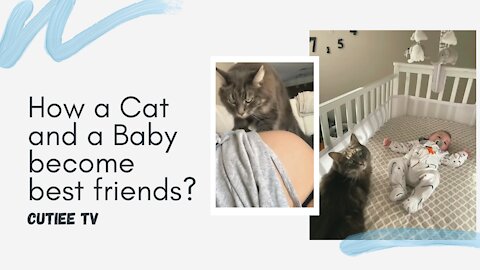 How a Cat and a Baby become best friends?