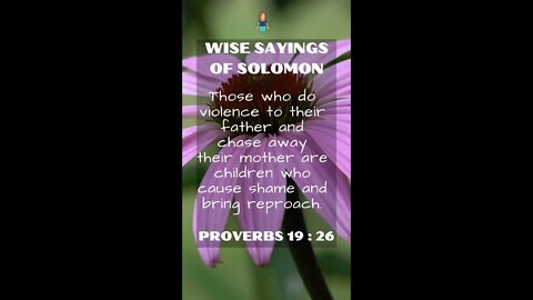 Proverbs 19:26 | NRSV Bible - Wise Sayings of Solomon