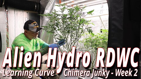 Alien Hydro RDWC Week 2: Spider Farmer SE7000 Full Garden Update