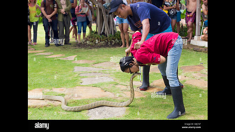 New Movie Real snake and human fighting in forest 😲😳