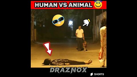 POVHUMAN VS ANIMAL hanuman hanumanji bajrangbali ghost prank viral video