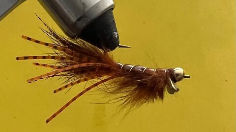 A #8 Hook Beadhead Cray Tail Rusty Creek Crawler