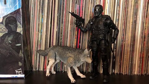 Snake Eyes and Timber GI Joe Classified Action Figure Review