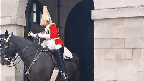 King's guard calls for assistance as massive protest heads for horse guards horse's taken in