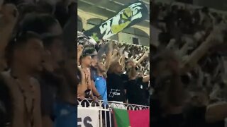 Jogador na torcida comemorando a vitória