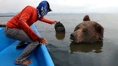 Animals That Asked People for Help