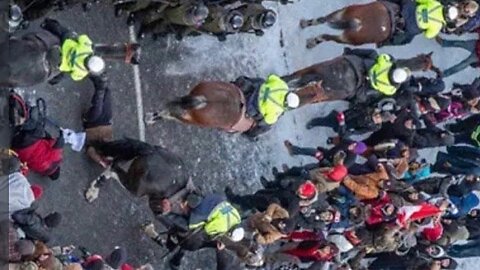 "Ottawa Police Horses Trample Protesters Killing A Woman" Police Injure Freedom Convoy Protesters