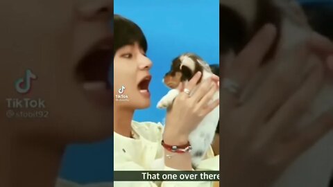Taehyung scared puppy 😂🤣