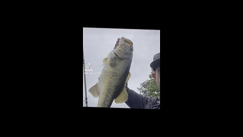 Skipping Docks With A CHATTERBAIT 🥱