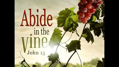 Abide in the Vine Service 3-24-24 Palm Sunday