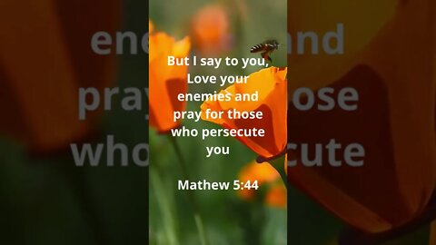 LOVE YOUR ENEMIES! | MEMORIZE HIS VERSES DAILY | Mathew 5:44