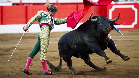 Bullfight Spanish Event #28