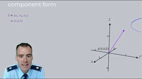 What are Standard Basis Vectors?