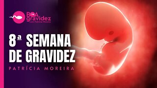 8 SEMANAS DE GRAVIDEZ - Gravidez Semana a Semana com Patrícia Moreira