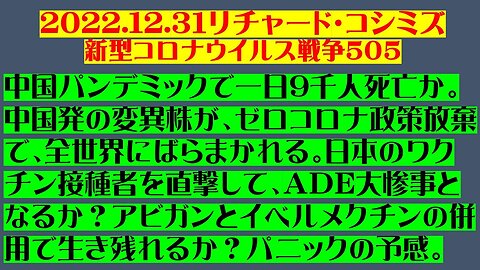 2022.12.31 リチャード・コシミズ新型コロナウイルス戦争５０５