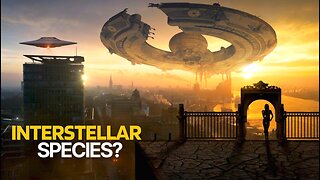 What If We Became an Interstellar Species?